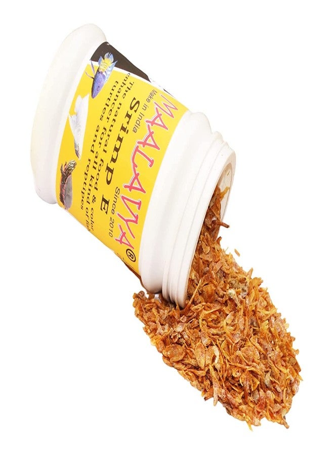 Maalavya Srimp E Dried Shrimp Fish Food Aquarium Arowana Shrimp Fish Food Dried Shrimp Fish Shrimp Turtle Food Shrimp Fish Coloration & Growth Turtle Shrimp Food Oscar Frozen Dry Shrimps (50 GM) - Image 3